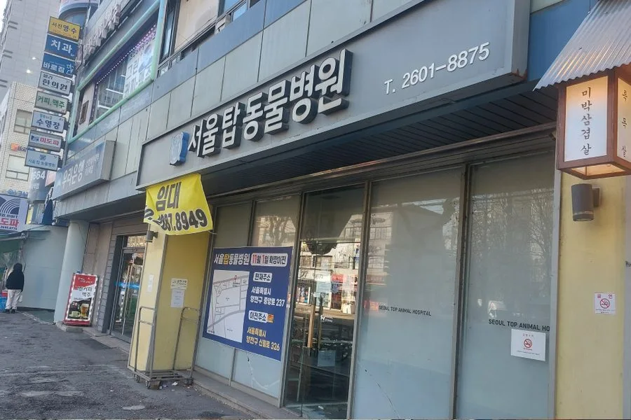 서울특별시 양천구 동물병원 원상복구 철거 실제 사례 사진 · 협력 파트너 제공